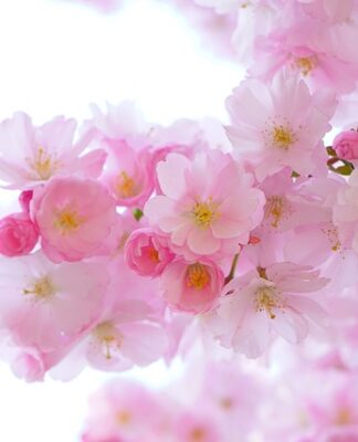 Co znaczy różowy kolor bransoletki?