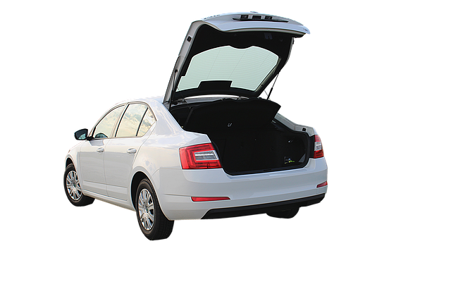 Ile pali Skoda kamyk? Ile pali Skoda kamyk?