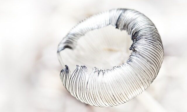 Jak usunąć kreski pod oczami?