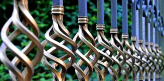 Czym nęcić płocie?