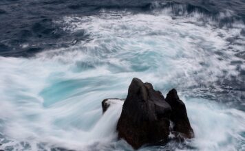 Jakie są ceny huśtawek ogrodowych?