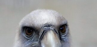 Ile wytrzyma gryf 25mm?