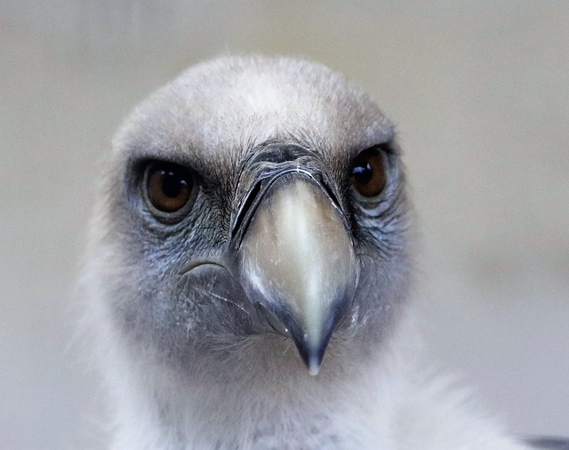 Jaką grubość gryfu wybrać? Jaką grubość gryfu wybrać?
