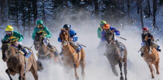 Czy da się grać w Turfach na trawie?