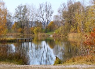 Jakie haczyki na okonia?