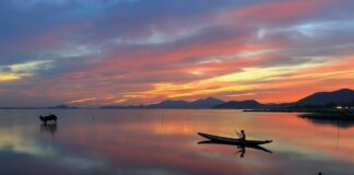 Czy można łowić na dwie wędki na żywca?