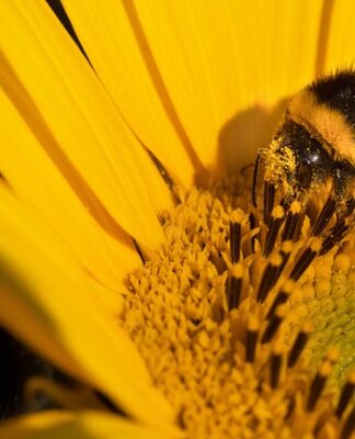 Co dyskwalifikuje do korekcji wzroku?