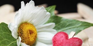 Jak działa przedni zacisk hamulcowy?