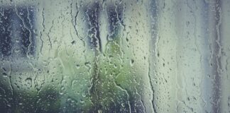 Jakie korki ma Robert Lewandowski?